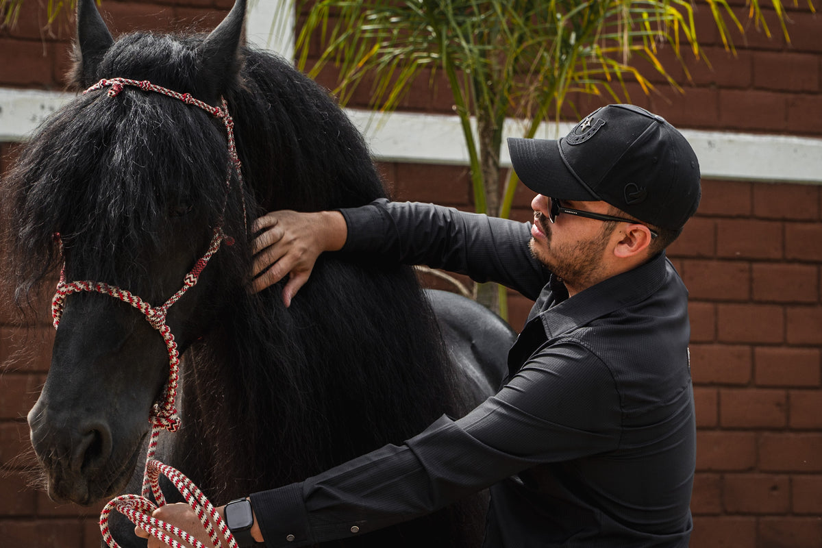 STAR HORSE TOTAL BLACK